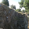 IMG_1886.jpg
