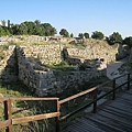 IMG_1877.jpg