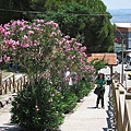 IMG_1904.jpg