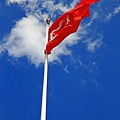 IMG_4513.jpg