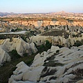 IMG_3552.jpg