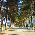 IMG_2883.jpg