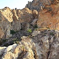 IMG_3681.jpg