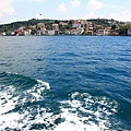 IMG_4917.jpg