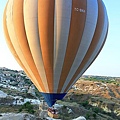 IMG_3558.jpg