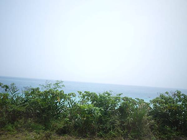 P1000825.JPG