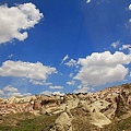 IMG_3931.jpg