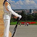 IMG_4536.jpg