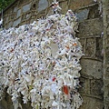 IMG_2023.jpg