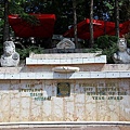 IMG_4461.jpg