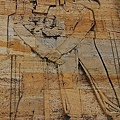 IMG_4554.jpg