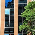 IMG_4804.jpg