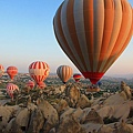 IMG_3544.jpg