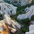 IMG_3571.jpg