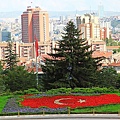 IMG_4529.jpg