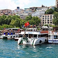 IMG_4934.jpg