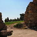 IMG_3099.jpg