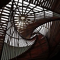IMG_4366.jpg