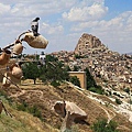 IMG_4048.jpg