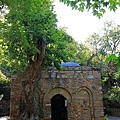 IMG_2939.jpg