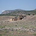IMG_2085.jpg