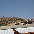 IMG_2084.jpg
