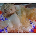 DSC04549-1.jpg