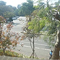 P1190066.JPG