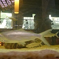 P1190078.JPG