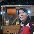 P1190074.JPG