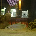 P1190076.JPG
