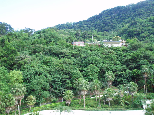 房間陽台看出去的景