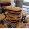 Yummiest Chocolate Chip Cookies 