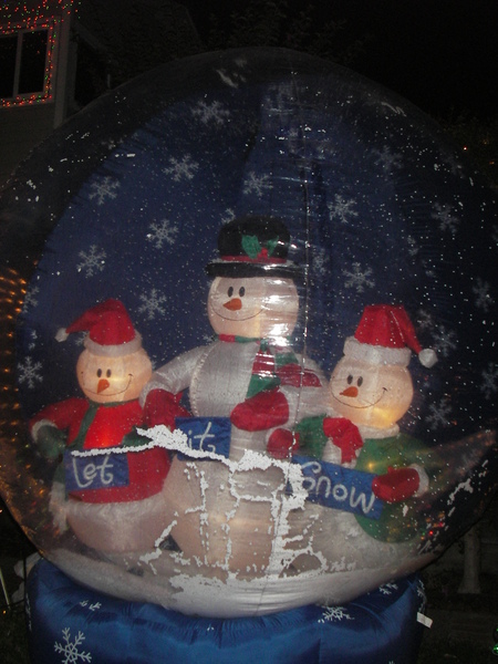 IMGP7494.JPG IMGP7494.JPG