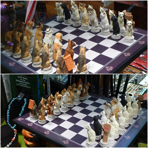 11.jpg 11 jpg