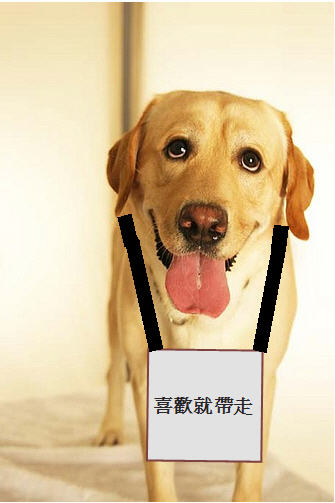 mochi.jpg mochi.jpg