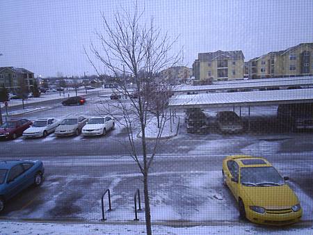 窗外下雪了.JPG