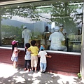 20150729_130623_調整大小.jpg