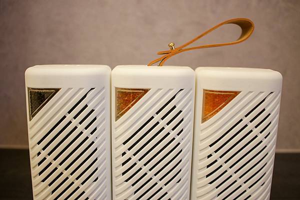 體驗【SANSUI 山水】MIT台灣製造小植淨除濕器 史