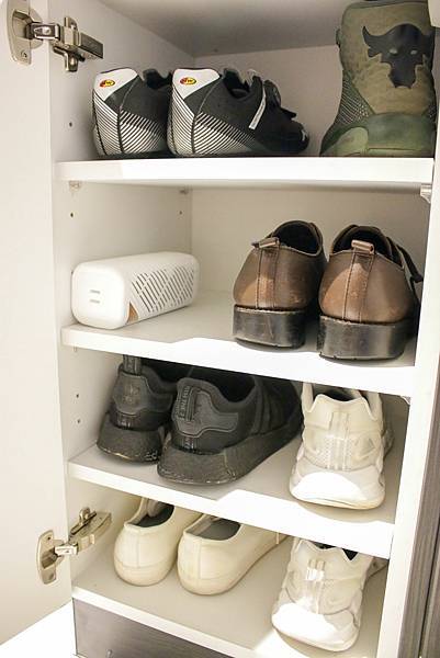 體驗【SANSUI 山水】MIT台灣製造小植淨除濕器 史