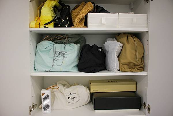 體驗【SANSUI 山水】MIT台灣製造小植淨除濕器 史