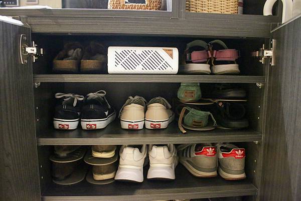 體驗【SANSUI 山水】MIT台灣製造小植淨除濕器 史