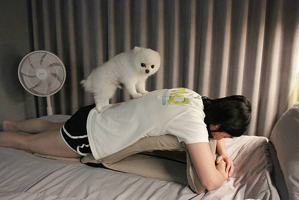 懶骨頭界的百變金剛LazyUP懶人墊2.0:可坐可趴可躺可靠 懶骨頭界的百變金剛LazyUP懶人墊2.0:可坐可趴可躺可靠