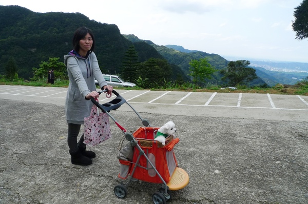 跑來三峽熊空偷閒