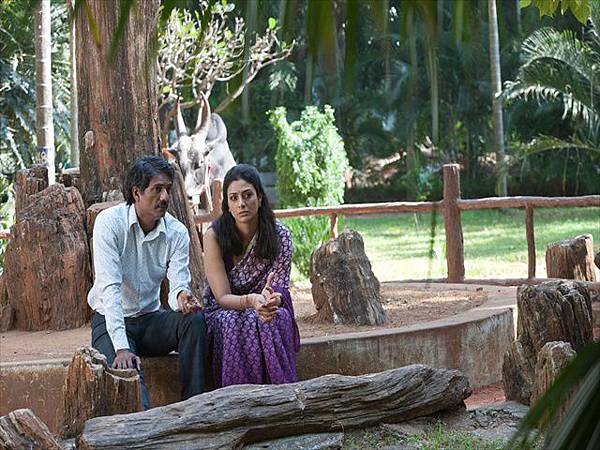 Tabu In Life Of Pi (1) Tabu In Life Of Pi (1)