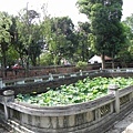 DSCN9399p1.jpg