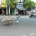 DSCN9414p1