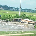 DSCN9445p1