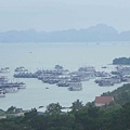 DSCN0113p1