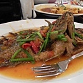 DSCN0231p1